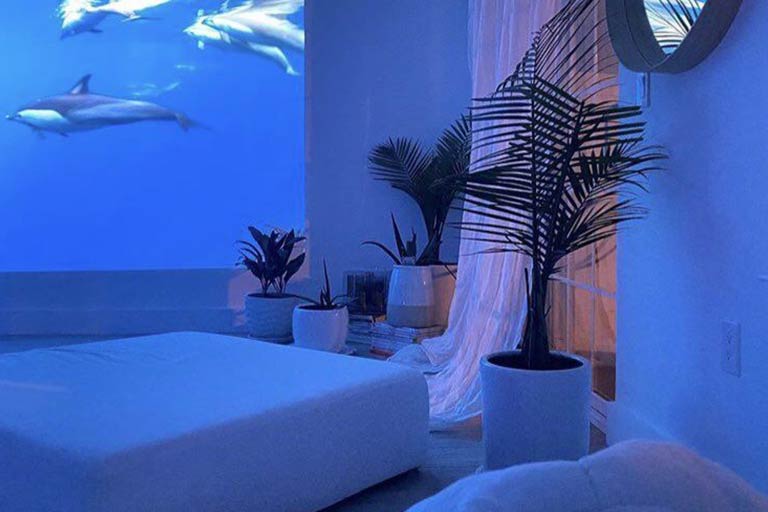 Vip Escorts Room